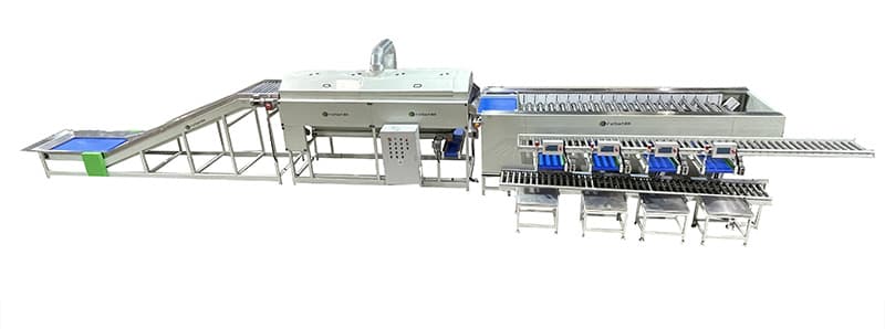 potato-processing-sizer-machine